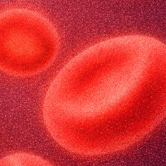 Delving Beyond the Infusion With Dr. Jennifer Brown and the AMPLIFY Trial’s Oral Breakthrough for CLL
